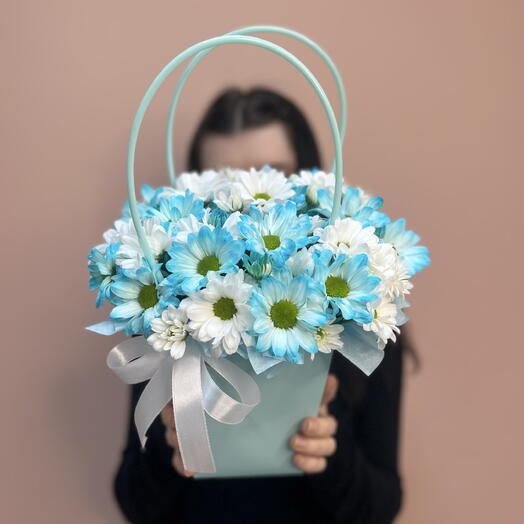 Сумочка из голубых и белых ромашек💐