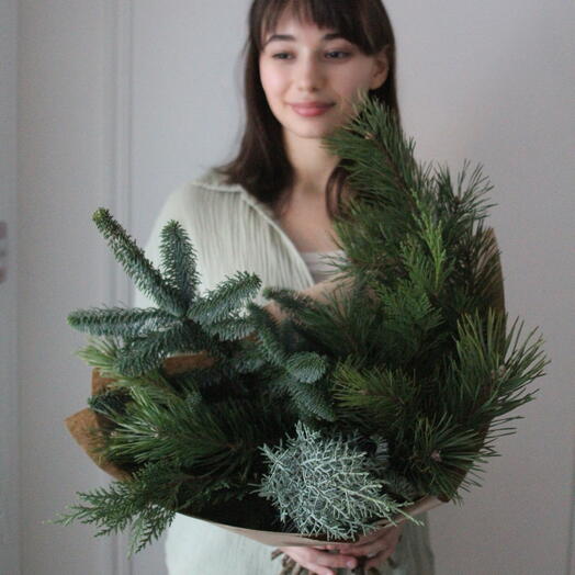 Микс хвойных веток