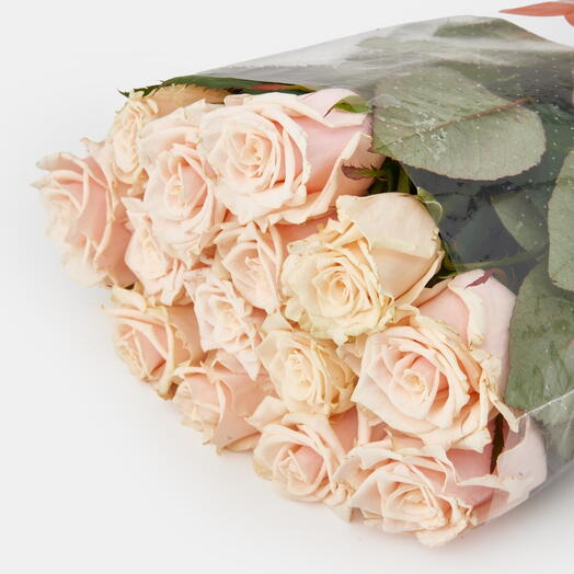 Пачка роз (15 штук) Талея, 50 см