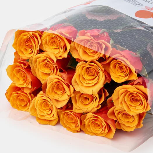 Пачка роз (15 штук) Испания, 60 см