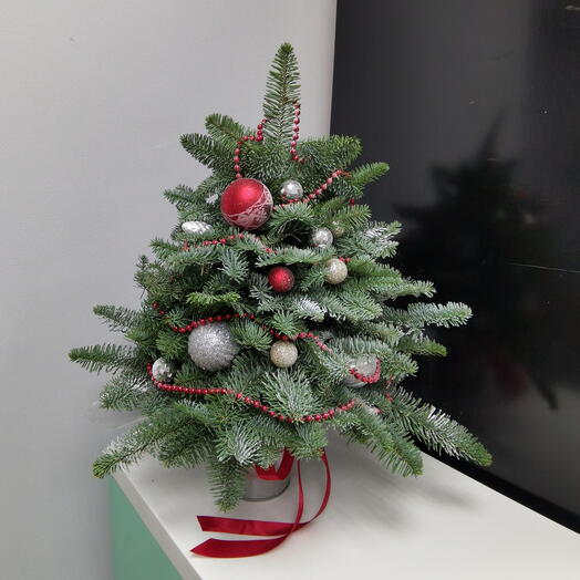 Елка из нобилиса пышная(голубая ель)