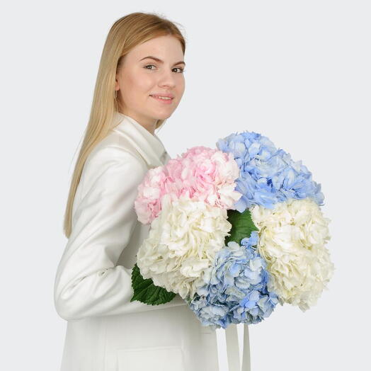 Букет из пяти гортензий