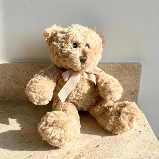 Small Larry teddy bear