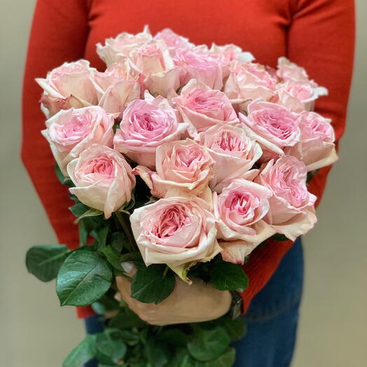 Пионовидная роза Pink Ohara 21 шт