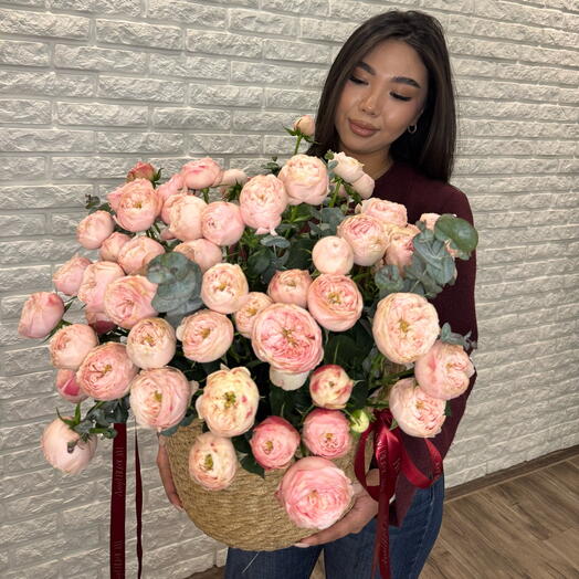 Менсфилд LLL