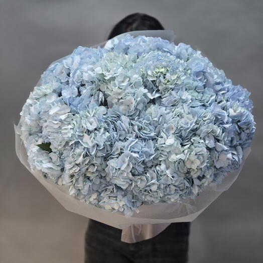 Пышный букет из 21 гортензий голубого цвета, размер XXL, от "Di_Flowerslab"