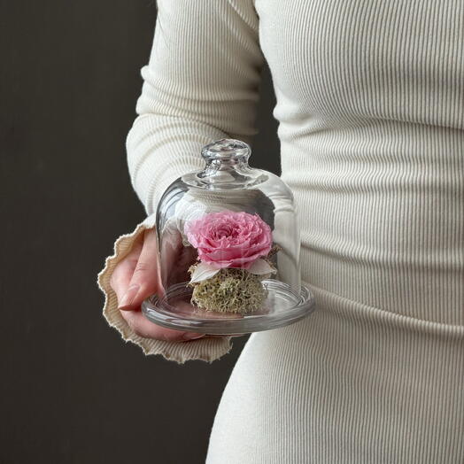 Роза в колбе стабилизированная на 14 февраля