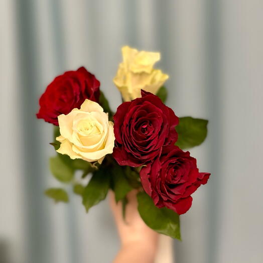 Букет из роз Кения 5 штук