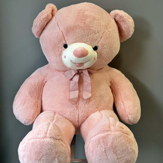 Плюшевый мишка