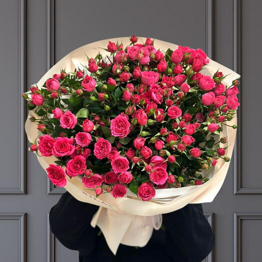 015 Mono Spray Sofia