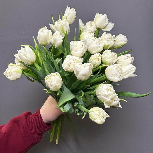 Пионовидный белый тюльпан 25 шт