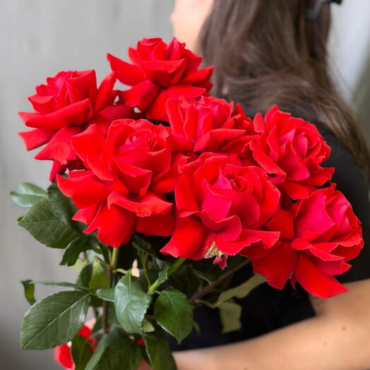 Красные розы Нина️