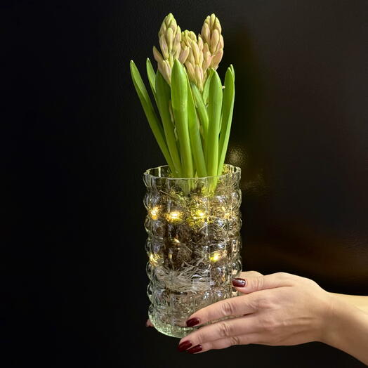 Живая композиция «Розовый рассвет»