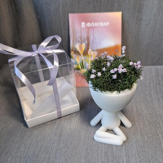 Подарок для нее , на день рождение ,  Кашпо с стабилизированном мхом, ручная работа