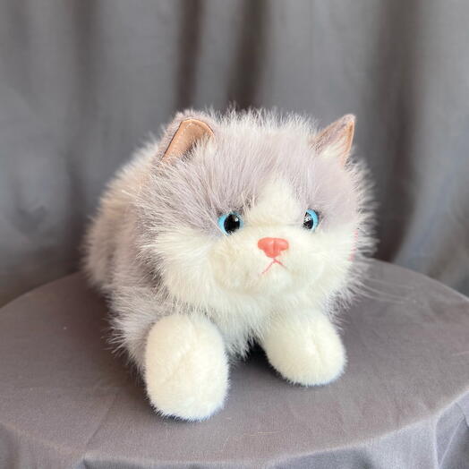 Котик серый