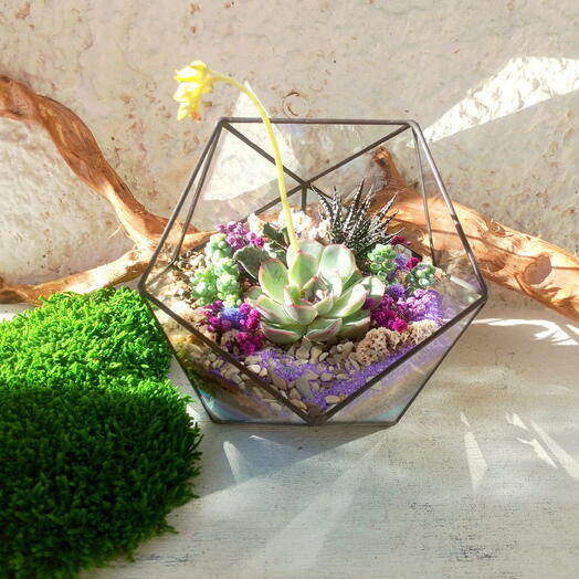 Assorted Florarium