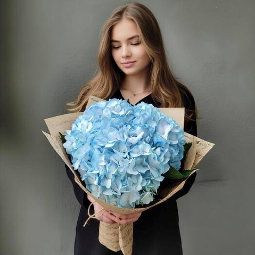 Hydrangea 3