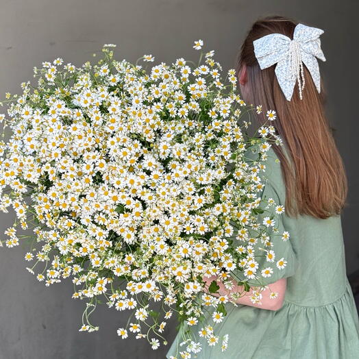 35 ромашек - дофаминовый взрыв 🌸