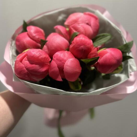 Акция!!!!🌸🌱Пион коралловый
