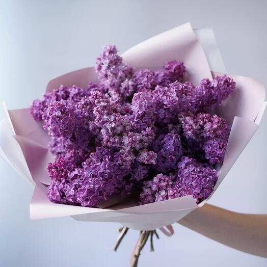 Ароматная махровая сирень💜💜💜