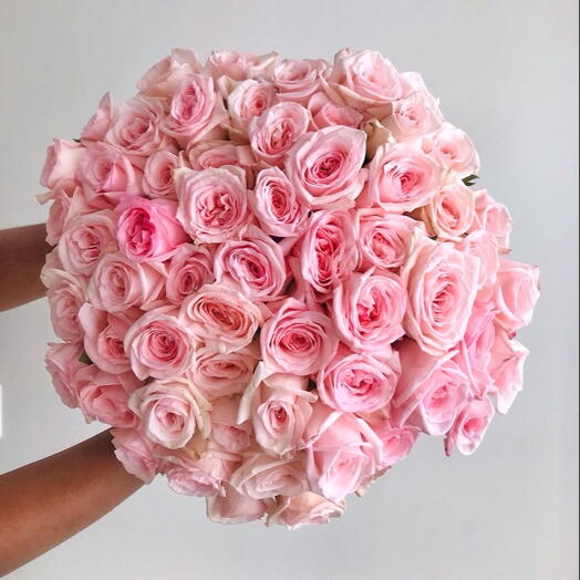 Pink O Hara Roses