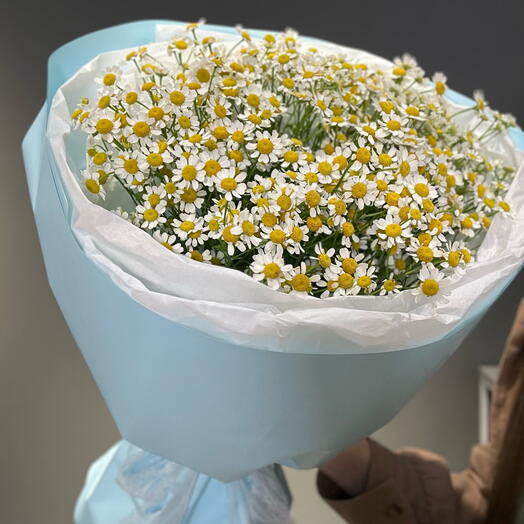 Букет ромашек