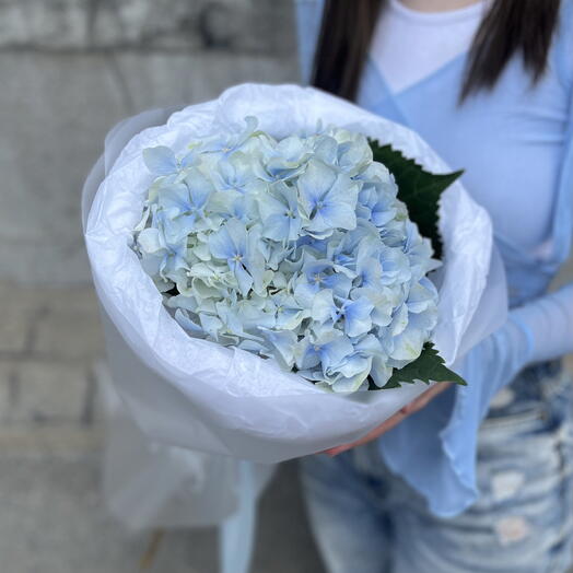 Голубая голландская гортензия в лаконичной упаковке 💙