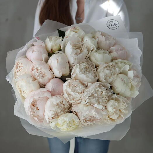 Букет из 25 бело-кремовых пионов Bowl of cream 
Premium в прозрачной упаковке