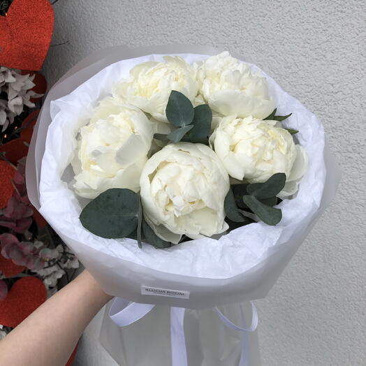 🩷Белые пионы Bloom Room