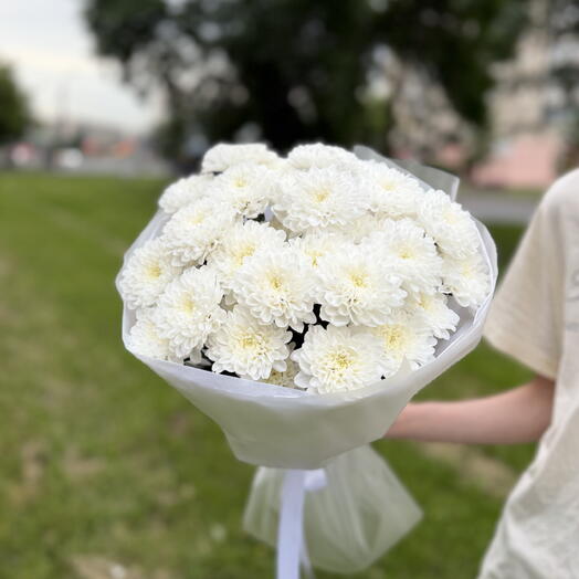 Букет из 5 кустов хризантем сорта Алтай