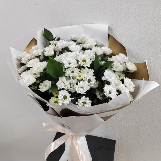 Ромашки 🌼