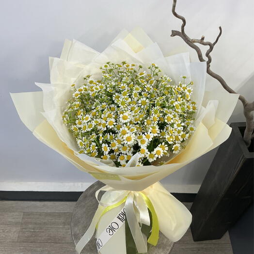 Нежное солнце