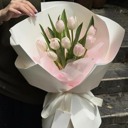 tulips