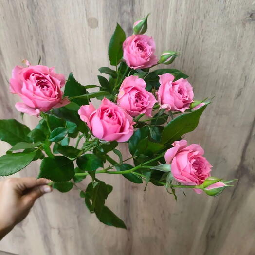 Кустовая роза нежно розовая