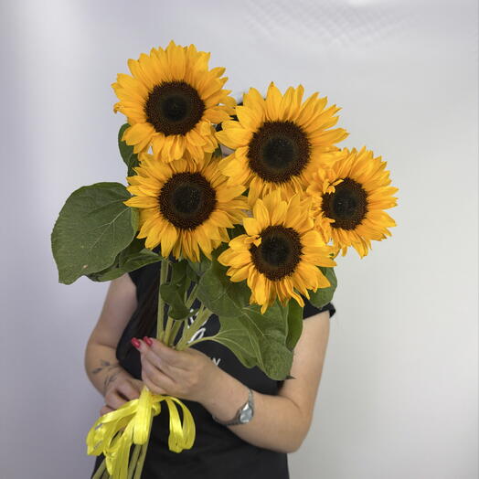 Подсолнухи 🌻