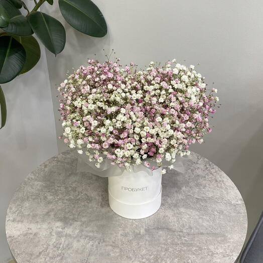 💗Сердечко из гипсофил