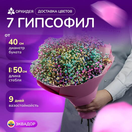 7 гипсофил радужных