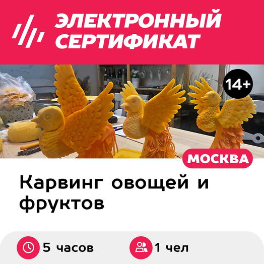 Подарочный сертификат Курс Карвинг. Любитель, 1 чел. индивидуально (5 часов) (Москва)