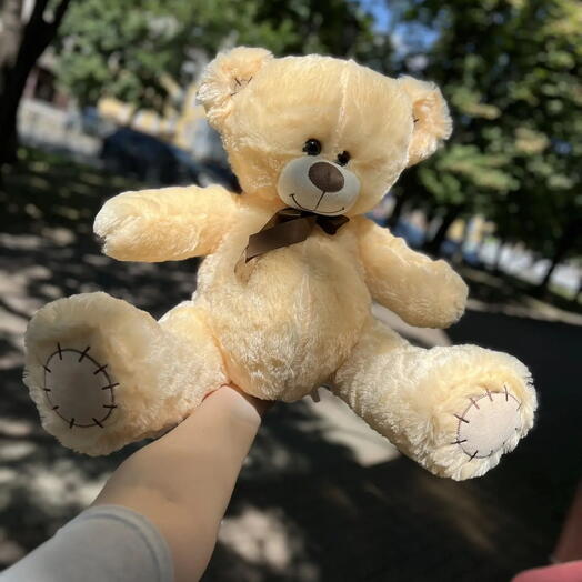 Медведь лимонный