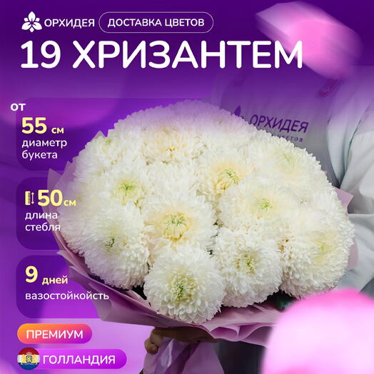 Букет 19 белых хризантем "Магнум"