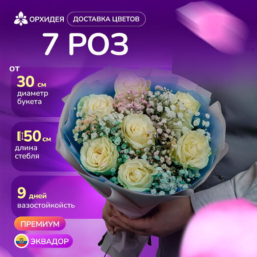 7 белых роз "Мондиаль" с гипсофилой