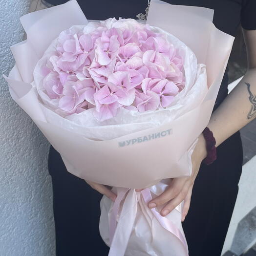 Гортензия нежно розовая💖