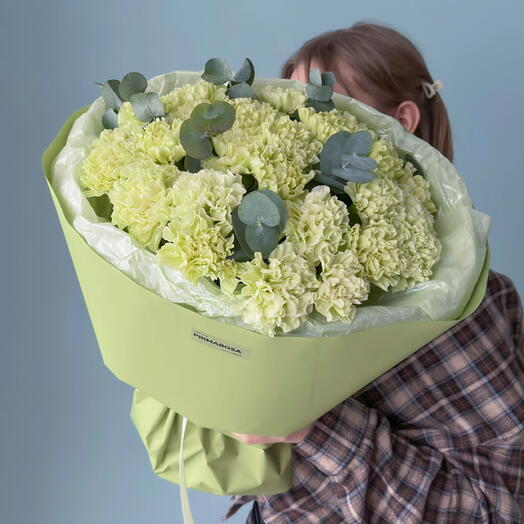 Букет из 25 зелёных гвоздик с эвкалиптом «Фисташка»🌿 40302