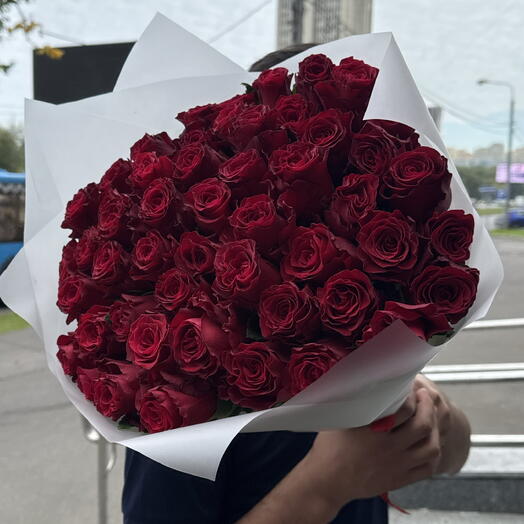 Крупная бордовая Роза 51