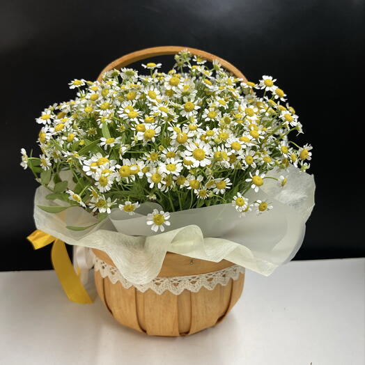 Милая корзинка с полевыми ромашками
