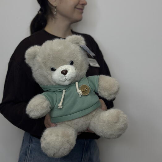 Мишутка в толстовке