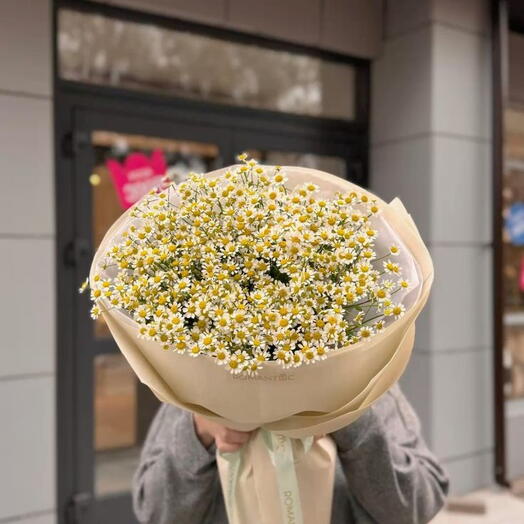 Букет из настоящих ромашек 💞