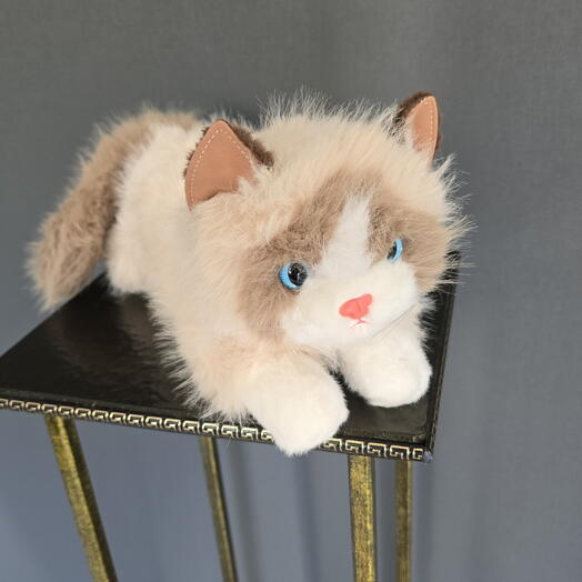 Мягкая игрушка кот 🐱