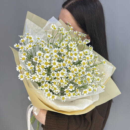 Монобукет из ромашек