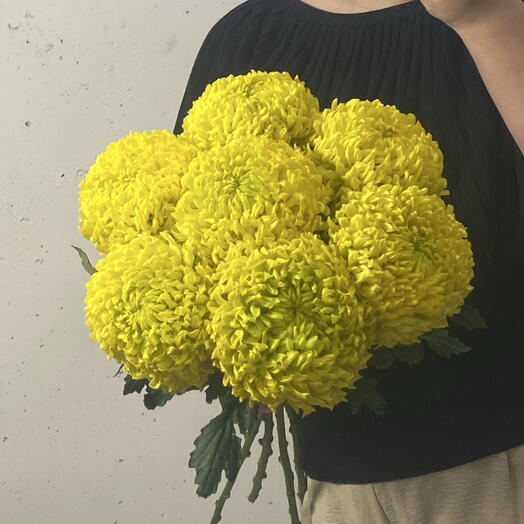 Хризантема желтая 💛🌼 7